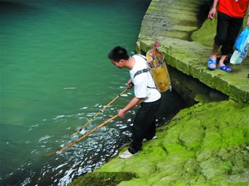 外地男深夜組團電魚抓青蛙 李村河漂一片死魚