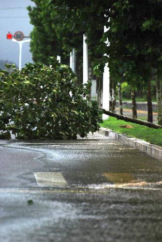 達(dá)維過境青島小驚 護(hù)欄刮倒巨浪狂拍石老人