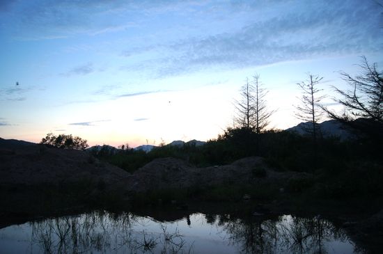 探秘青島大河?xùn)|神秘濕地:芳草叢生水鳥飛翔時光寂然