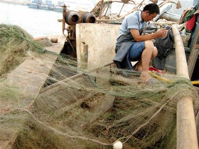 明日開海鲅魚對蝦黃花魚成主力