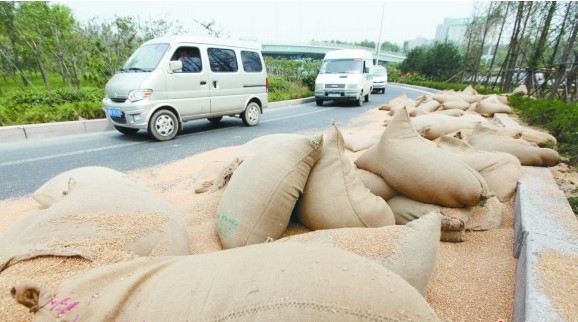 青島運(yùn)糧車急拐彎甩下8噸小麥 轎車險(xiǎn)被活埋