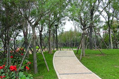 青島白沙河沿岸建運動公園 安裝健身器材60件套