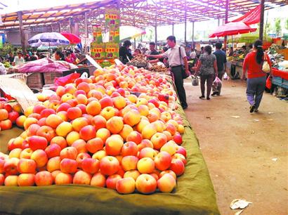 青島市面紅富士實為紅將軍 正品十一過后才上市