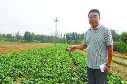 青島年入百萬包工頭隱居山林 賞如畫風景種菜養(yǎng)鴨