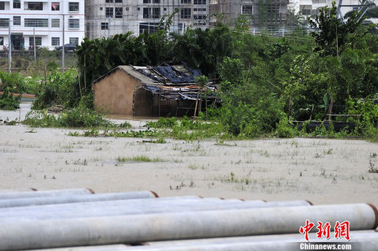 臺(tái)風(fēng)山神過境三亞大風(fēng)暴雨 市民街上下網(wǎng)捕魚