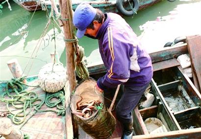 靈山島漁民改行釣鰻魚(yú)月入兩萬(wàn) 一天能掙三千