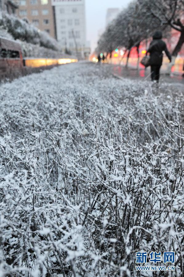 （生態(tài)）（3）內(nèi)蒙古東部、東北大部遭遇寒潮降雪天氣