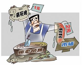 一斤1元回收400頭病死豬 加工后賣(mài)到臺(tái)東批發(fā)市場(chǎng)