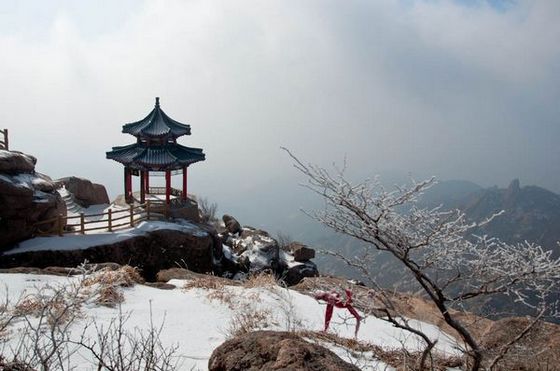 嶗山景區(qū)派發(fā)年終紅利 金牌導游獲獎轎車