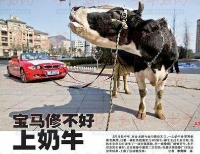 百萬寶馬4個(gè)月未修好 車主雇奶牛拉車討說法