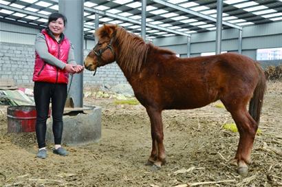 村民開辦家庭動(dòng)物園免費(fèi)對(duì)外開放