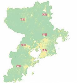 青島今冬共下9場雪