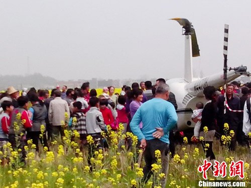 湖南游客自駕直升機(jī)觀看油菜花引圍觀(圖)