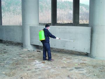 仰口橋下現(xiàn)20余頭死豬 相關部門稱屬正常死亡沒傳染病