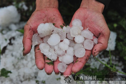 忻城縣北更鄉(xiāng)鳳凰村的村民撿起遺留的冰雹。