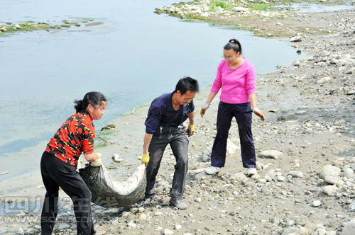 四川彭山河道內現(xiàn)千只死鴨 經(jīng)檢測水質未受污染